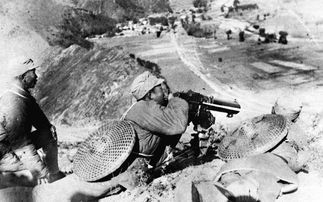 (七七事变 血肉筑长城)