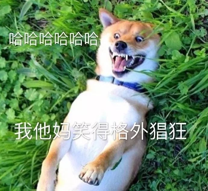 100张无敌沙雕又可爱的表情包!好看死了快来收图!