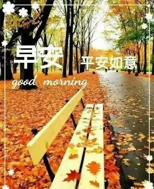星期日微信早上好正能量很火的问候表情祝福图片带字
