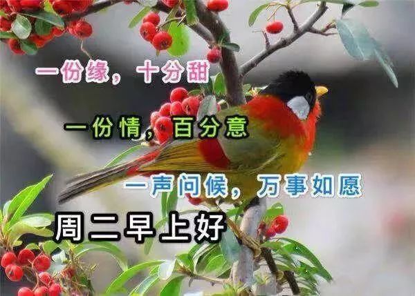 早安励志问候语带鲜花的祝福句子 晚秋早上好温馨的