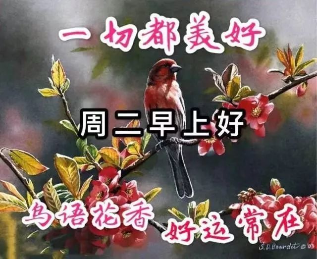 早安励志问候语带鲜花的祝福句子 晚秋早上好温馨的