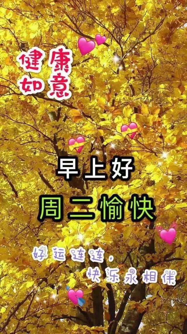 早安励志问候语带鲜花的祝福句子 晚秋早上好温馨的