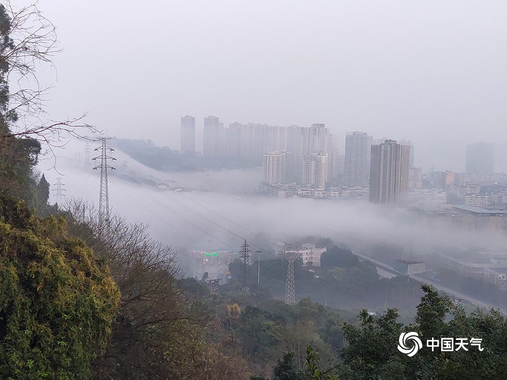 图为重庆合川的高楼在雾中若隐若现(图/唐杰)