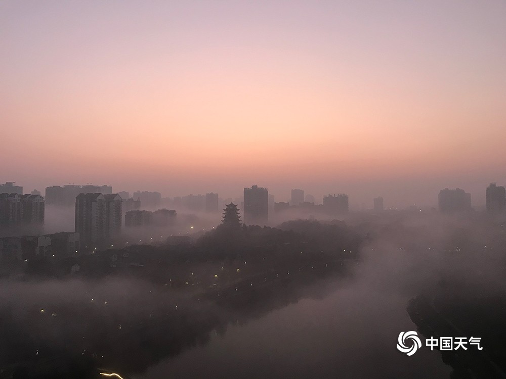 图为重庆合川的高楼在雾中若隐若现(图/唐杰)