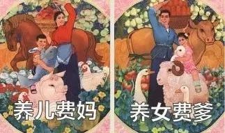 谁说儿女双全是赢家?爹妈简直要气炸