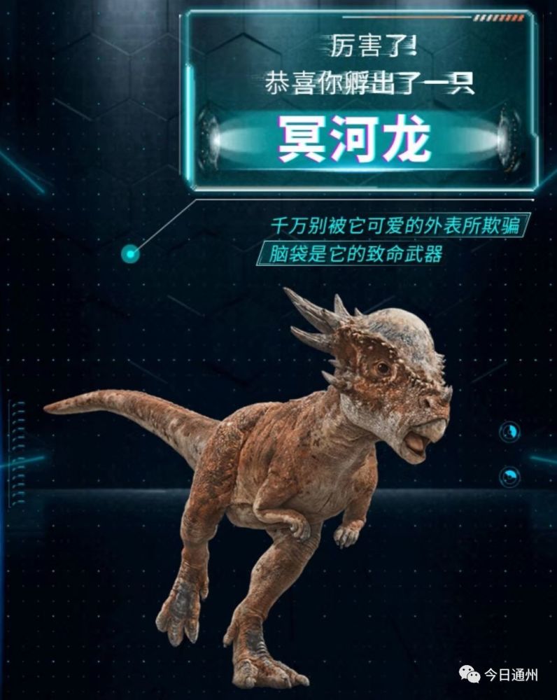 长者魔鬼般的角的食肉牛龙