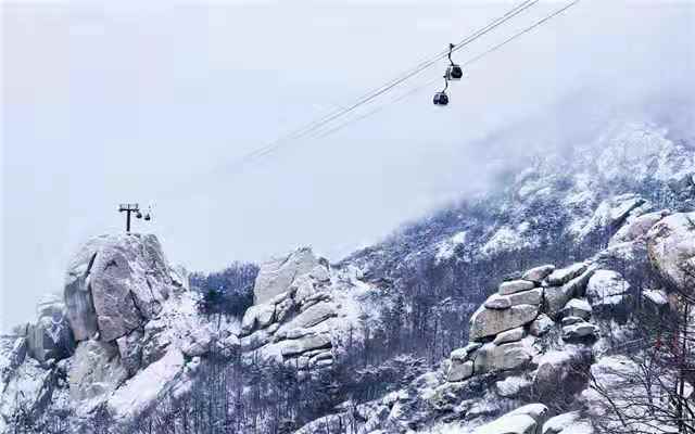 指点此江山，今朝更好看！青岛市文旅局邀您“赛美文 过大年”