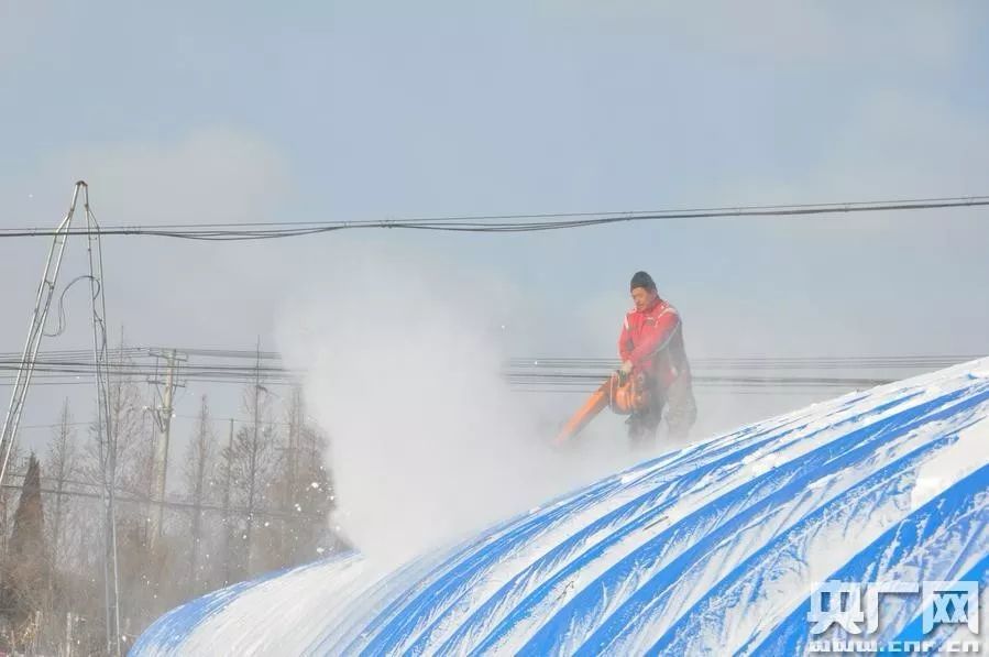 高手在民间!这么多种大棚除雪工具,看到最后惊到了!