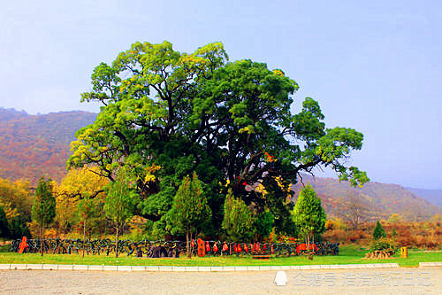 其实除了这些,平凉还有回山王母宫,南石窟寺,成纪文化城,崇信县大槐树