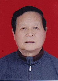 群星人口组建_人口普查(2)