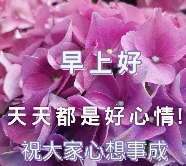 小寒最新早上好唯美动态问候图片带字清晨祝福朋友的早安语录