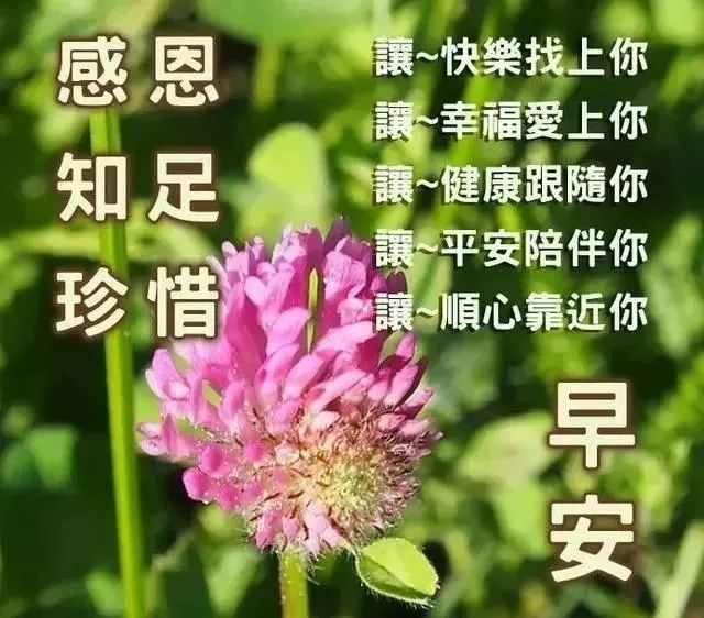 小寒最新早上好唯美动态问候图片带字 清晨祝福朋友的