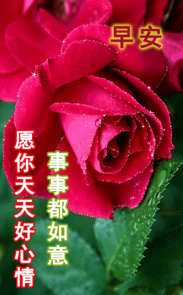 7月1日,早上好!再见六月,你好七月.下半年愿大家:活得