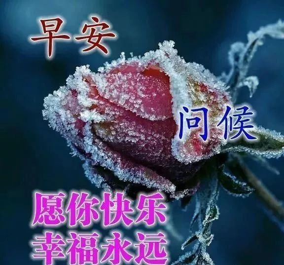 2020很火的早上好动态漂亮图片,暖心早安问候语