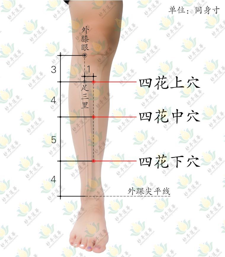 灵骨穴,大白穴,重魁穴,木穴,三叉三穴,感冒一穴,感冒二穴 据我们观察