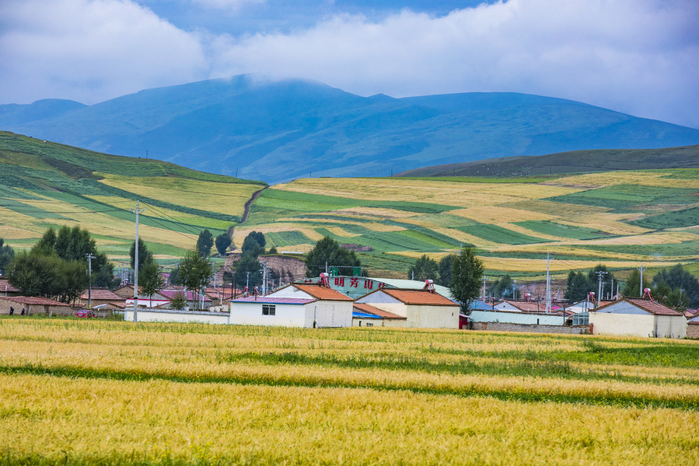 门源县人口_4月去门源回族自治县哪儿最好玩 门源回族自治县旅游景点大全 门(3)