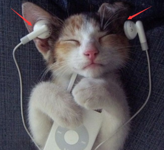 长期戴耳机听音乐睡觉,大脑到底会发生什么变动?网友