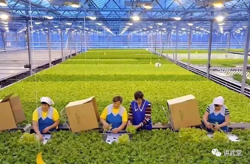 海湾六国的gdp_海湾六国轮廓图(2)