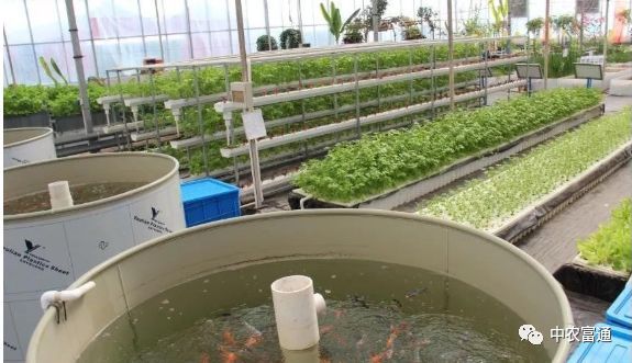 GDP与食物系统_gdp与国际收支的关系(2)