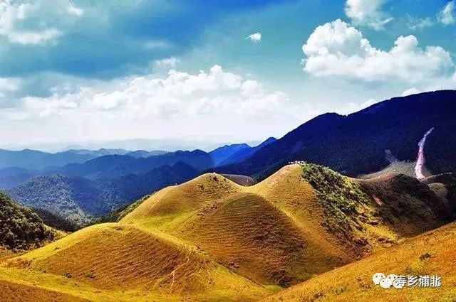 六万大山 天鹅头高山草甸 在六万大山中,有一个坐落在大山山顶的高山