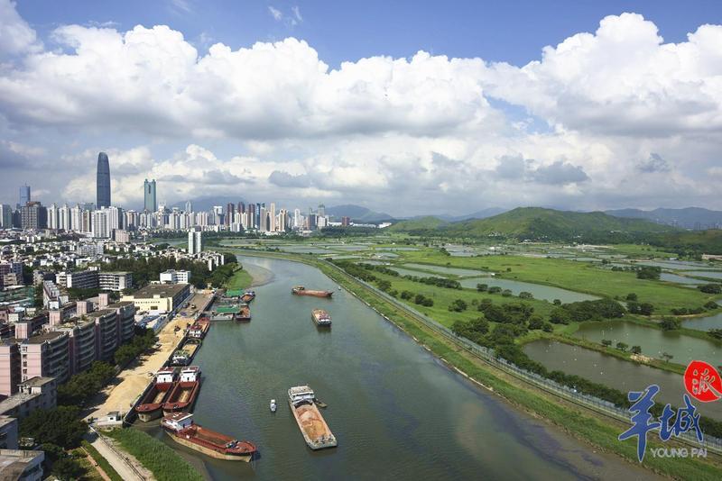 消除黑臭水体,深圳这些重点河流交出治理"代表作"