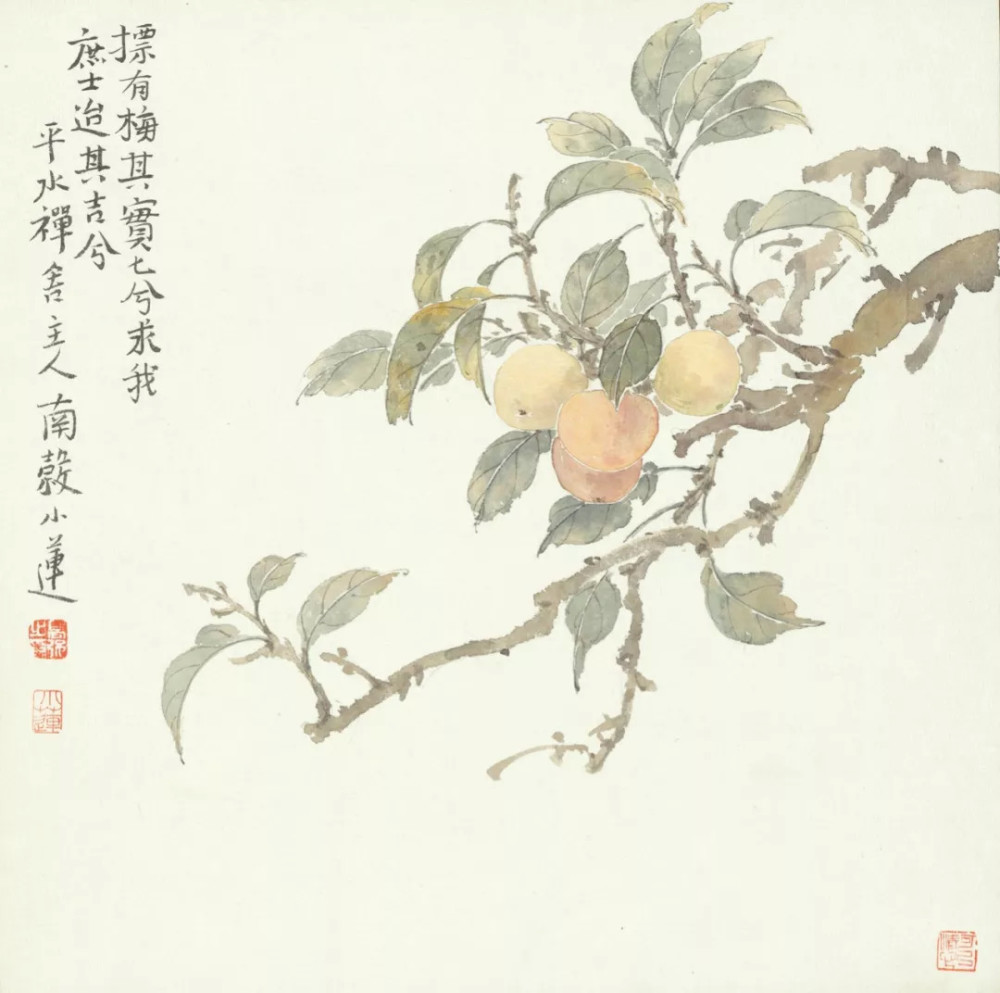 首套极具收藏价值的没骨画作品《诗经植物》由高强老师创作完成