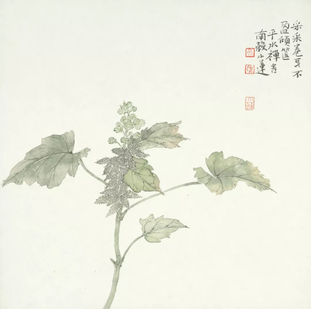 高强 《采采卷耳,不盈顷筐》纸本设色 38×38cm