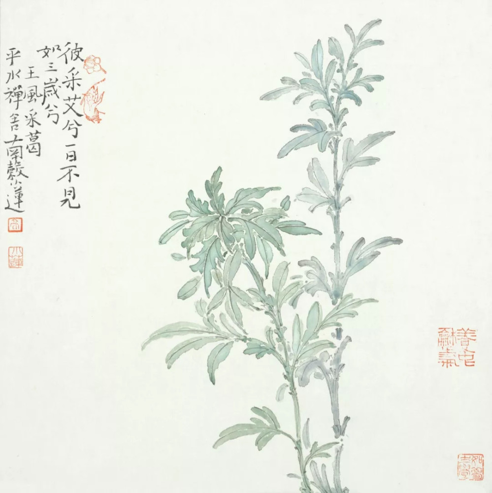 首套极具收藏价值的没骨画作品《诗经植物》由高强老师创作完成
