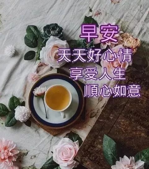 朋友圈2021早上好暖心祝福问候语句 ,早上好问候祝福