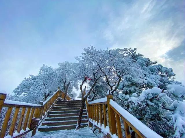 洛阳冬天最美的景区雪后老君山景色美炸天