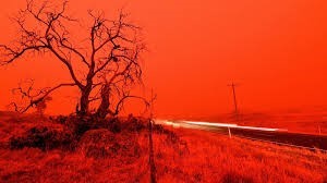 澳洲史无前例超级大火，环保分子应该背锅吗？