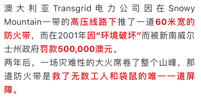 澳洲史无前例超级大火，环保分子应该背锅吗？