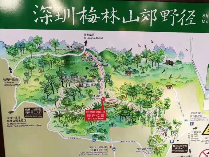 深圳首条郊野径手作步道,徒步梅林山郊野径—探寻"福田后花园"之美