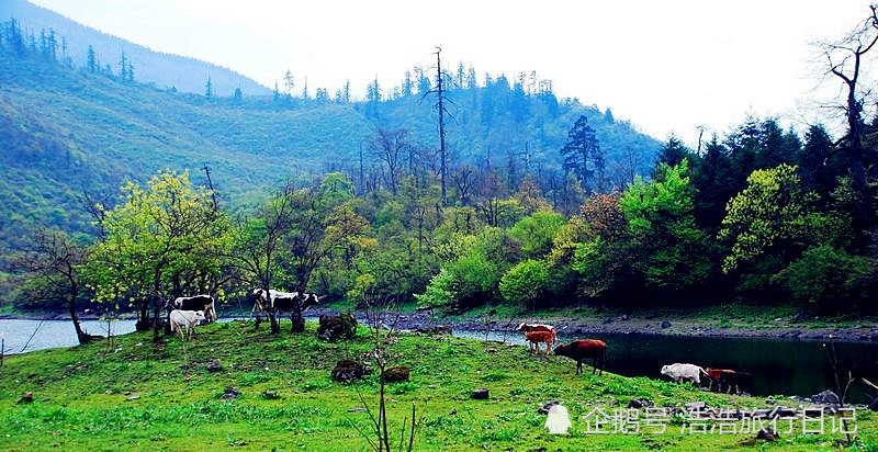 乐山黑竹沟 黑竹沟国家森林公园位于四川乐山市峨边彝族自治县黑竹沟