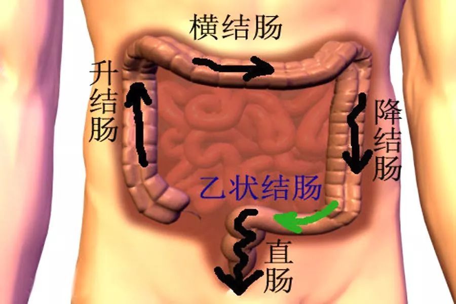 排便不畅,顺着肠道推一推,学会这套自我按摩法有好效果