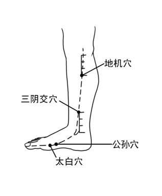 也是调理阴阳气血的穴位,对于妇科痛经有着很好的作用,位于小腿内侧
