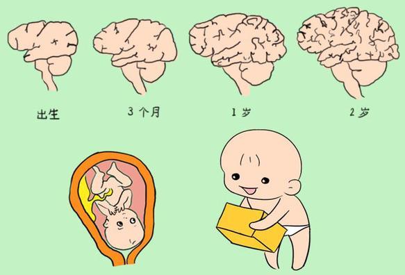 0~3岁是宝宝大脑发育"黄金期",家长做好这5点,宝宝将智力超群