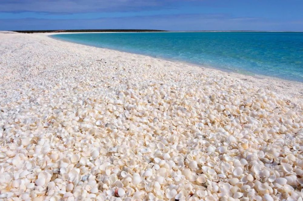 西澳大利亚鲨鱼湾贝壳海滩(shell beach)