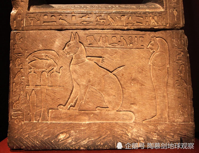 古埃及壁画上的猫