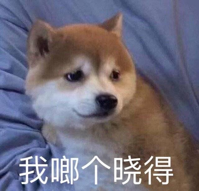 表情包:在干嘛呢,咋不回我消息哦