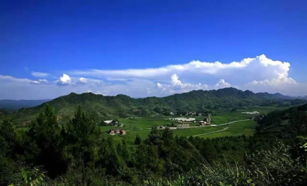 千野草场,位于石柱方斗山山脉岩口至瓦屋沿线,平均海拔1300米,地势