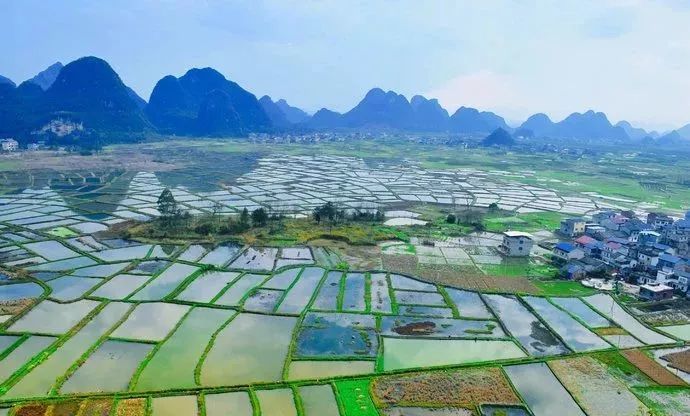 去会仙湿地坐上小船荡漾在湿地中,体验接天莲叶无穷