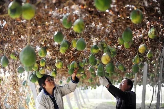 江苏剩17人未脱贫，这事值得大惊小怪吗？