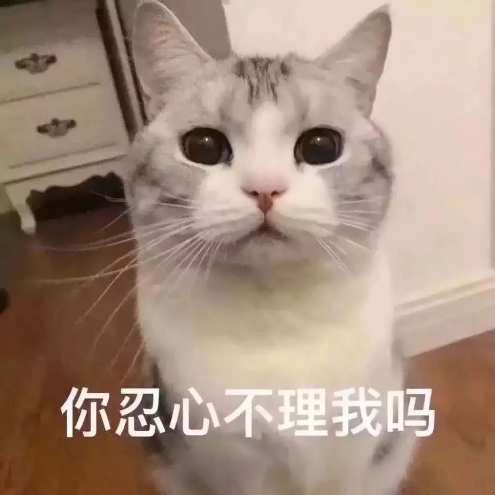 仙女儿委屈表情包,击垮直男的小心脏