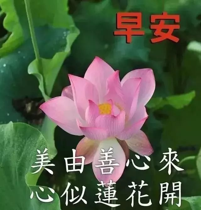 2020早晨好唯美祝福新年早安表情包 最漂亮贴心的早上