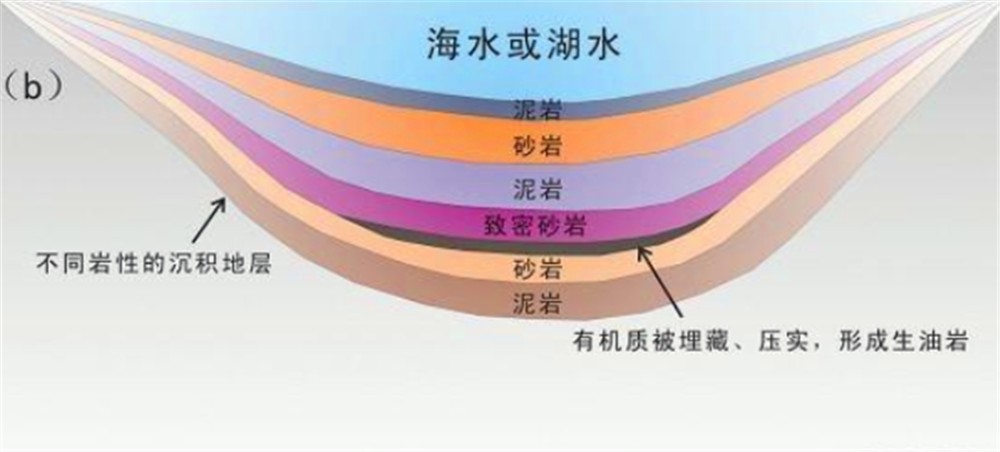 石油是怎么形成的?地球上为什么那么多石油?