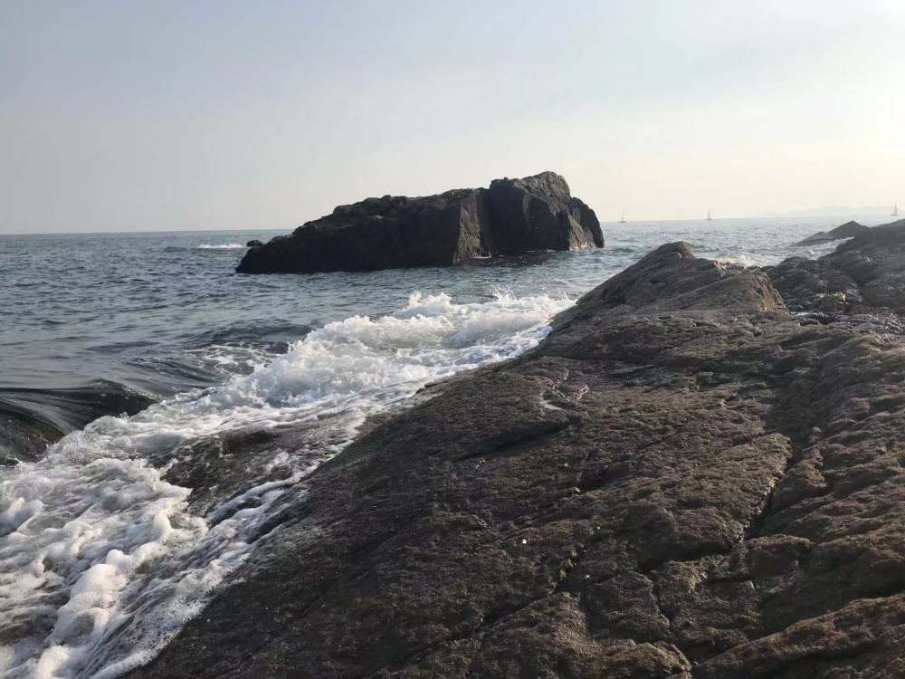 那么这座海岛是哪里呢?就是隐藏着繁华闹市旁的小麦岛啦.