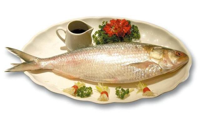 从未遇见,听闻已是传说,长江这种鱼曾是朝廷贡品,至今30年未见