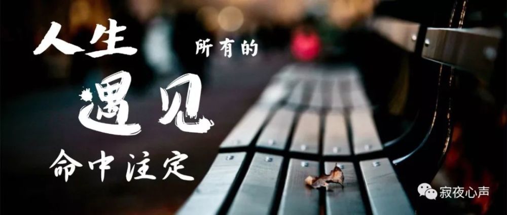 人生所有的遇见都是一场命中注定!