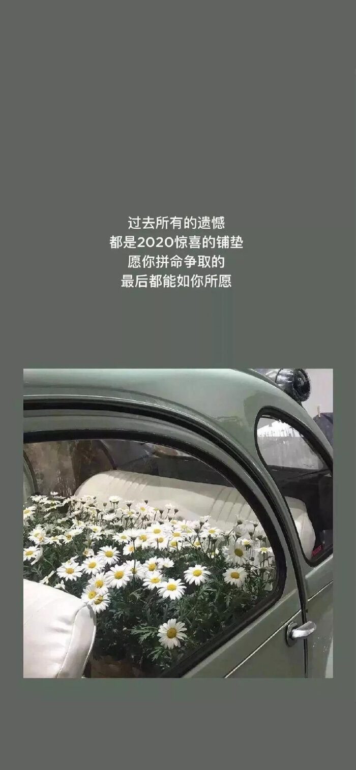 壁纸,背景图:连时间都在嘲笑我,不该对你太认真